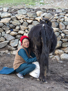 zanskar_20-07-23, sRVB-1081590
