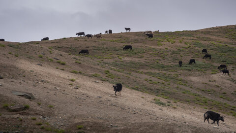 zanskar_21-07-23, sRVB-1081661