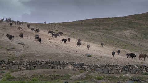 zanskar_21-07-23, sRVB-1081662