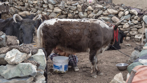 zanskar_21-07-23, sRVB-1081673
