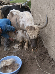 zanskar_21-07-23, sRVB-1081677