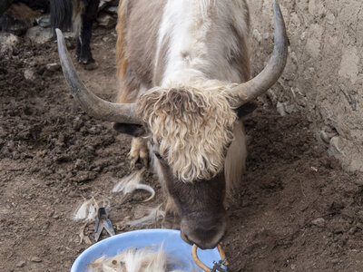 zanskar_21-07-23, sRVB-1081678