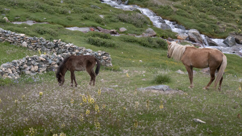 zanskar_21-07-23, sRVB-1081682