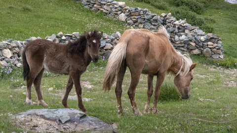 zanskar_21-07-23, sRVB-1081683