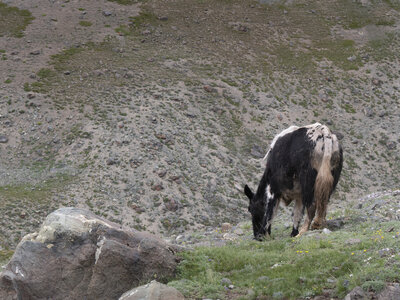 zanskar_22-07-23, sRVB-1081712