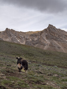 zanskar_22-07-23, sRVB-1081717