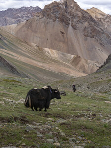 zanskar_22-07-23, sRVB-1081720