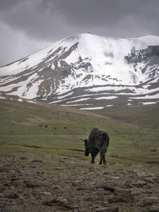 zanskar_22-07-23, sRVB-1081729