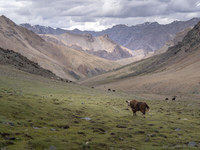zanskar_22-07-23, sRVB-1081739