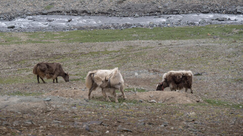 zanskar_22-07-23, sRVB-1081746