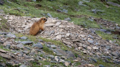 zanskar_22-07-23, sRVB-1081768