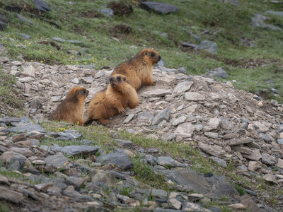 zanskar_22-07-23, sRVB-1081774