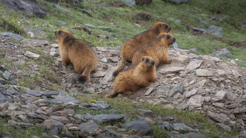 zanskar_22-07-23, sRVB-1081776