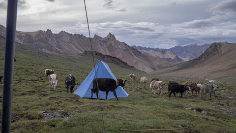 zanskar_22-07-23, sRVB-1081785
