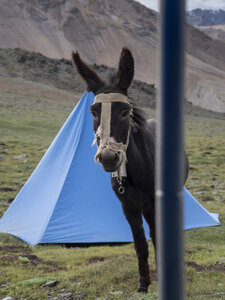 zanskar_22-07-23, sRVB-1081787