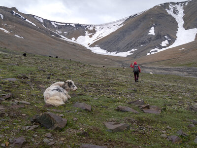 zanskar_23-07-23, sRVB-1081804