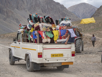 zanskar_25-07-23, sRVB-1082073