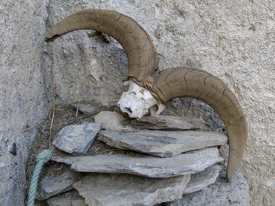 zanskar_26-07-23, sRVB-1092375