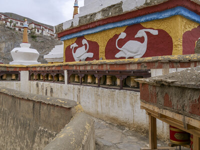 zanskar_27-07-23, sRVB-1092486