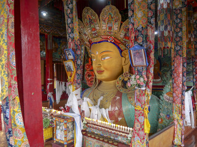zanskar_28-07-23, sRVB-1092564