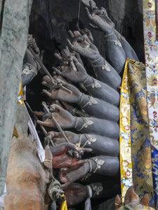 zanskar_28-07-23, sRVB-1092590
