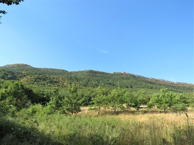 Col de Faye Les Arnauds en boucle, IMG_0420