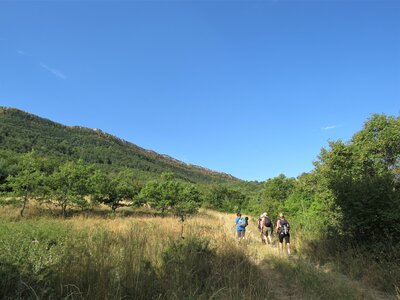 Col de Faye Les Arnauds en boucle, IMG_0421
