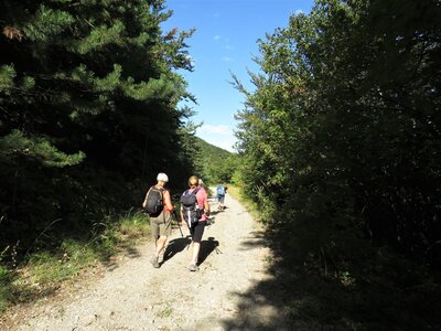 Col de Faye Les Arnauds en boucle, IMG_0424
