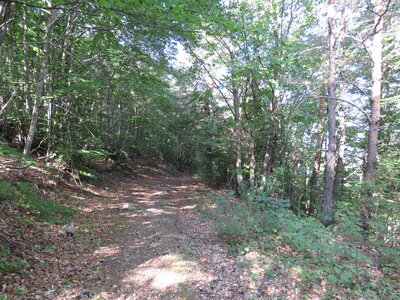 Col de Faye Les Arnauds en boucle, IMG_0426