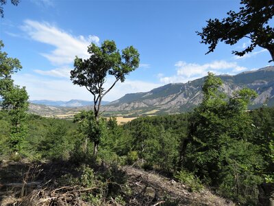Col de Faye Les Arnauds en boucle, IMG_0427
