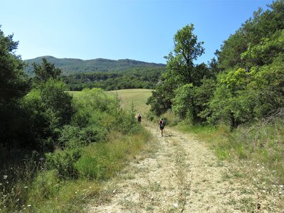 Col de Faye Les Arnauds en boucle, IMG_0437