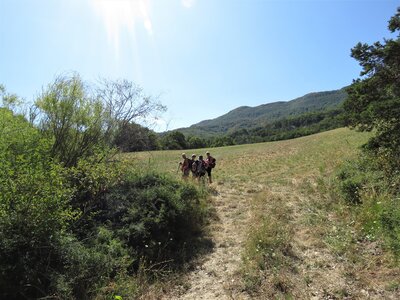 Col de Faye Les Arnauds en boucle, IMG_0438