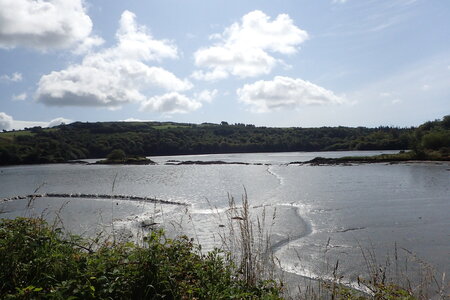 Rando Irlande 2023, 2023-07-17_0073