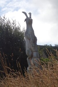 Rando Irlande 2023, 2023-07-18_0091