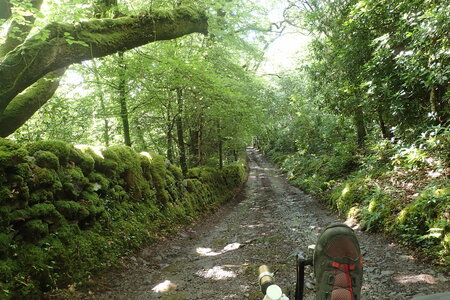 Rando Irlande 2023, 2023-07-18_0094