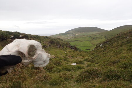 Rando Irlande 2023, 2023-07-21_0153