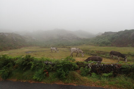 Rando Irlande 2023, 2023-07-22_0163