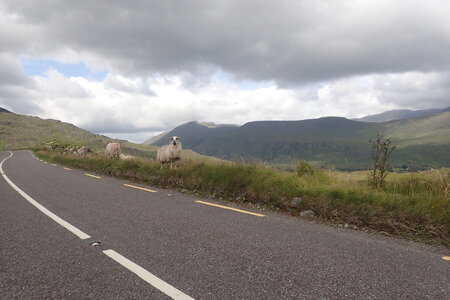 Rando Irlande 2023, 2023-07-24_0167