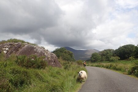 Rando Irlande 2023, 2023-07-24_0171