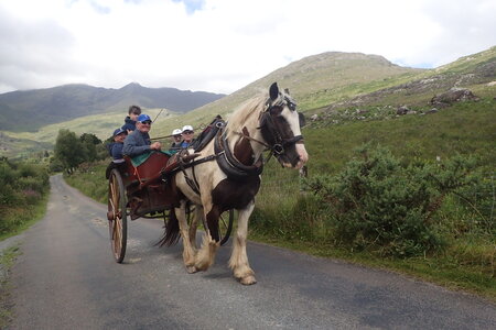 Rando Irlande 2023, 2023-07-24_0172