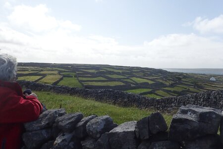 Rando Irlande 2023, 2023-07-29_0283