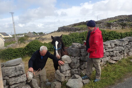 Rando Irlande 2023, 2023-07-29_0286