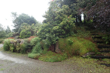 Rando Irlande 2023, 2023-07-31_0295