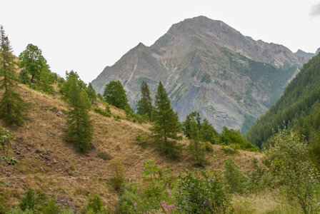  Le tour de la Planure par le  refuge du Tourond le 17082023, 17082023-DSC_0043
