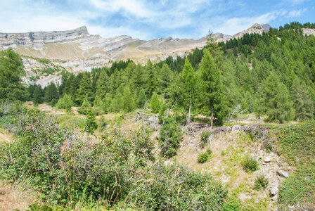 Le tour de la Planure par le  refuge du Tourond le 17082023, 17082023-DSC_0076