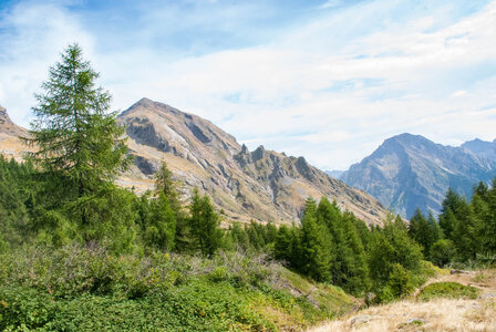  Le tour de la Planure par le  refuge du Tourond le 17082023, 17082023-DSC_0078