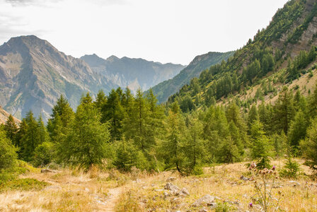  Le tour de la Planure par le  refuge du Tourond le 17082023, 17082023-DSC_0080