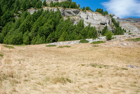  Le tour de la Planure par le  refuge du Tourond le 17082023, 17082023-DSC_0094