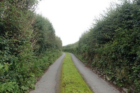 Rando Irlande 2023, 2023-08-07_0400