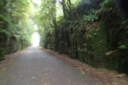 Rando Irlande 2023, 2023-08-10_0472